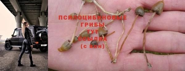 меф Белокуриха