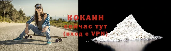 гашик Богородицк