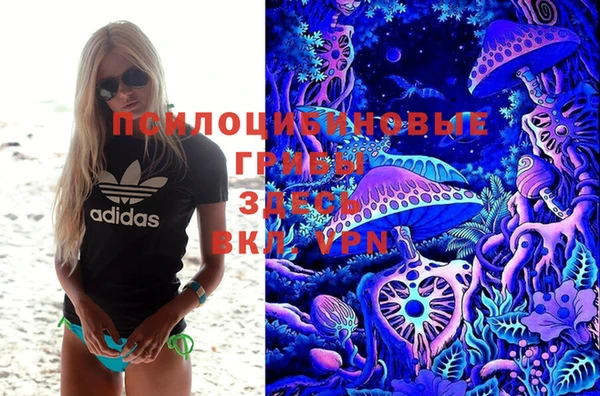 Альфа ПВП Беломорск