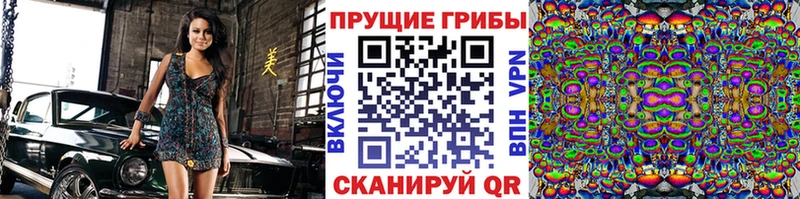 Псилоцибиновые грибы GOLDEN TEACHER  где продают наркотики  Мышкин 